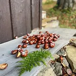 Na Samote Tierchowa