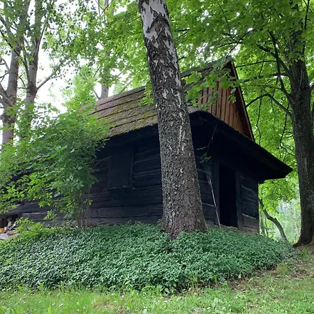 Alpesi faház Na Samote *
